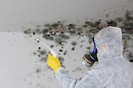 Best Mold Prevention Services  in Huntley, IL